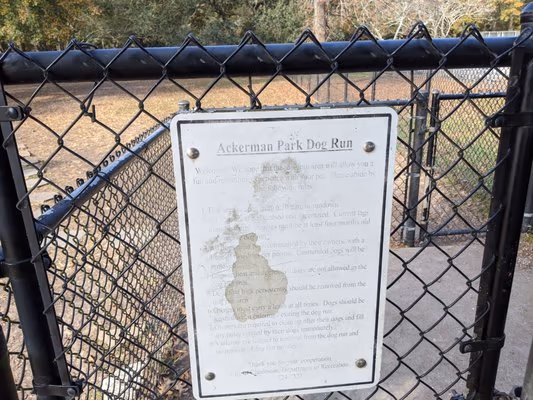 Dog Run at Ackerman Park
